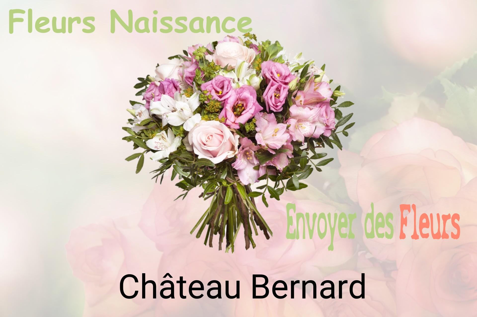 Bouquet de fleurs de naissance livré à Château-Bernard