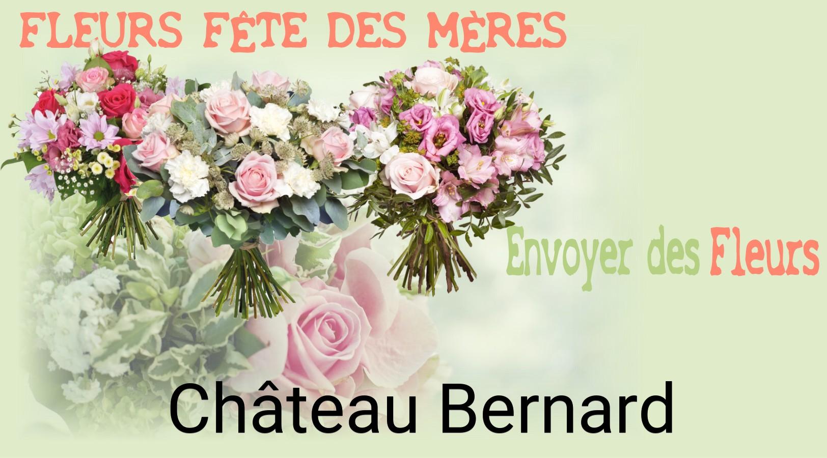 Bouquet de Fête des Mères livré à Château-Bernard